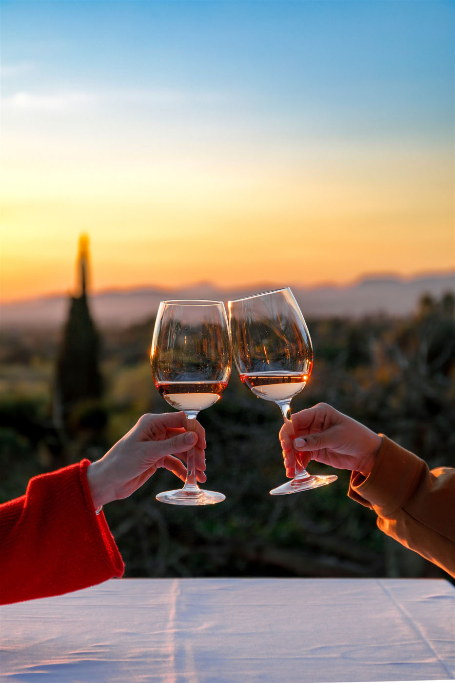 Brindis de dos copas de vino en la terraza con vistas de restaurante Son Terrassa
